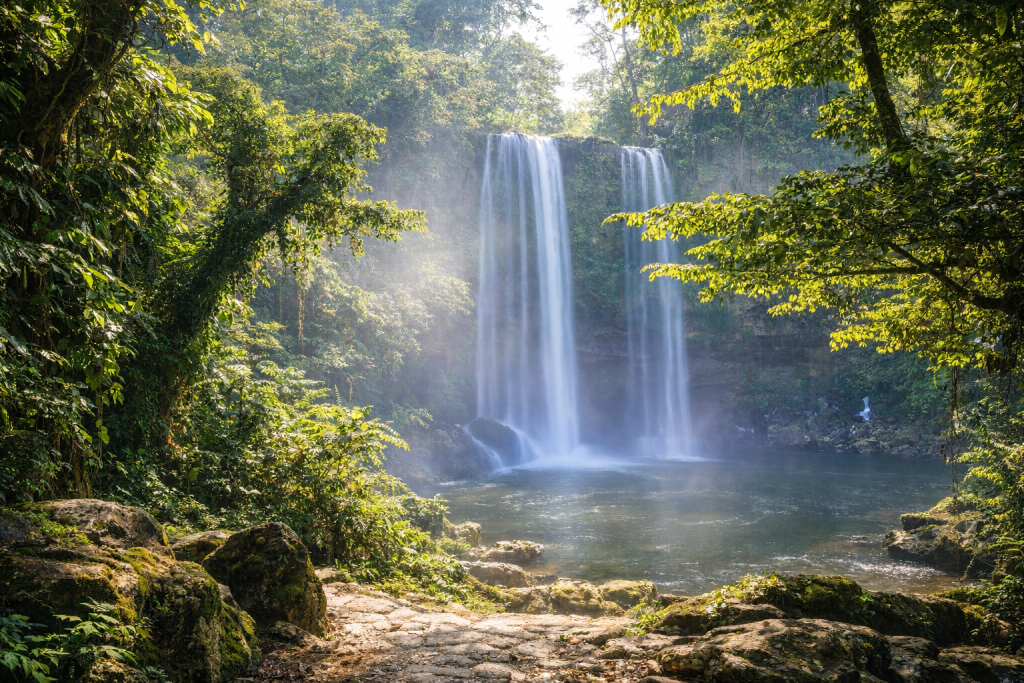 A jungle waterfall found Agua Azul, Mexico