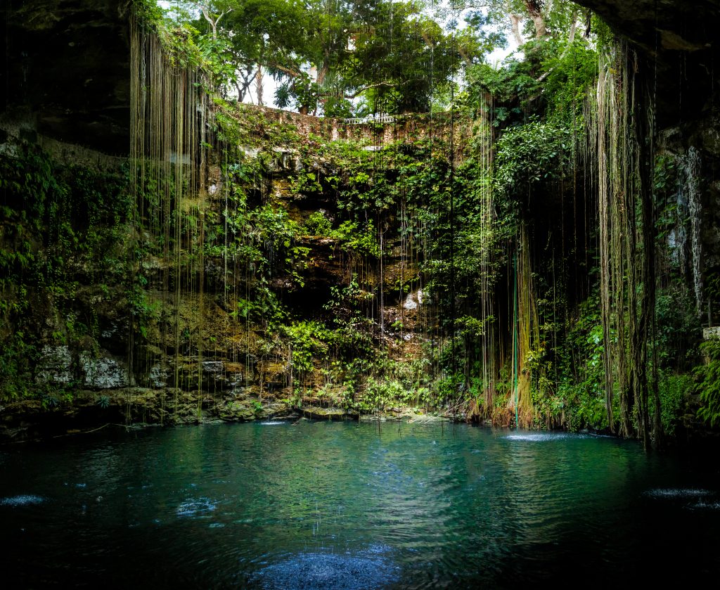 A cenote in Mexico on the Yucatan penninsula