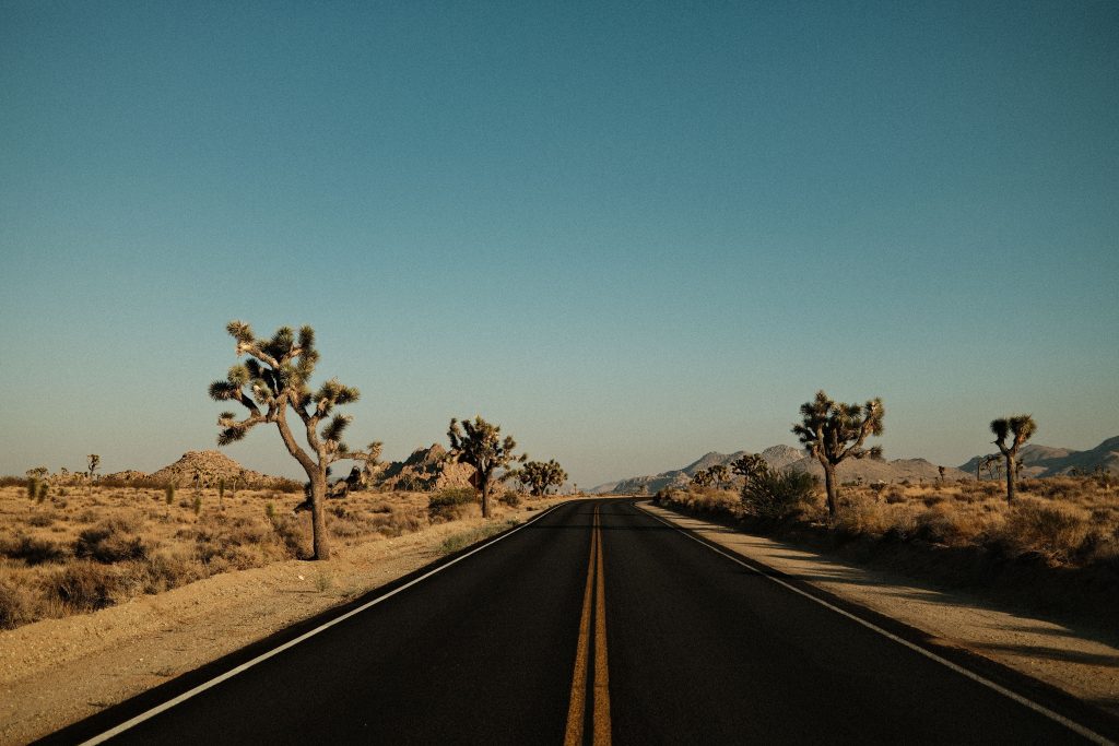 desert vista on route 66